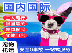唐山三女河机场托运国际宠物托运 【国